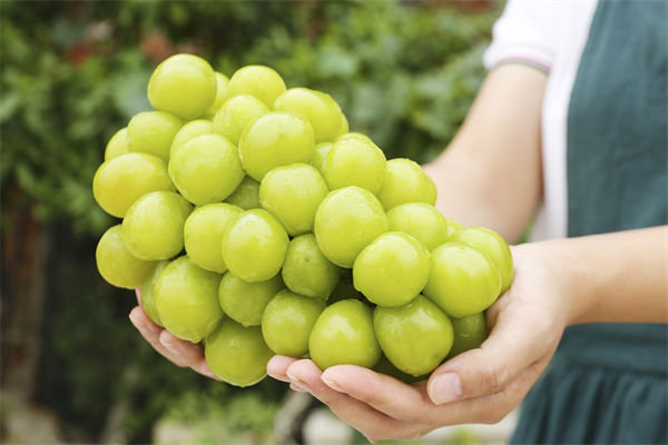 像“麻雀”一样炒股，才是大道至简